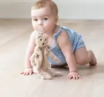 Pacifier Buddy | Plush