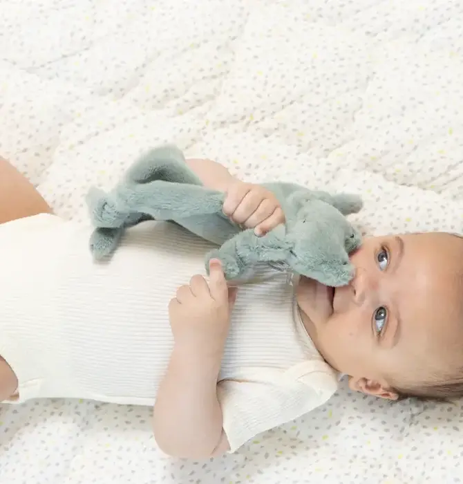 Pacifier Buddy | Plush