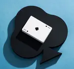 Playing Cards | Curious Wonders