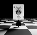 Playing Cards | Fantastique