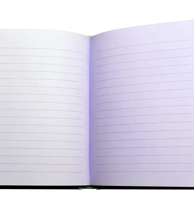 Book | Unicorn Diary