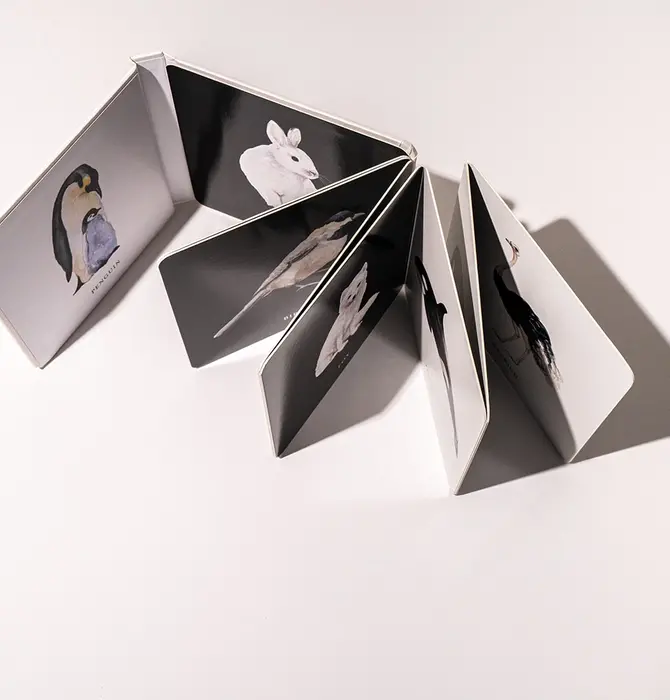 Book | Baby's Black & White Contrast