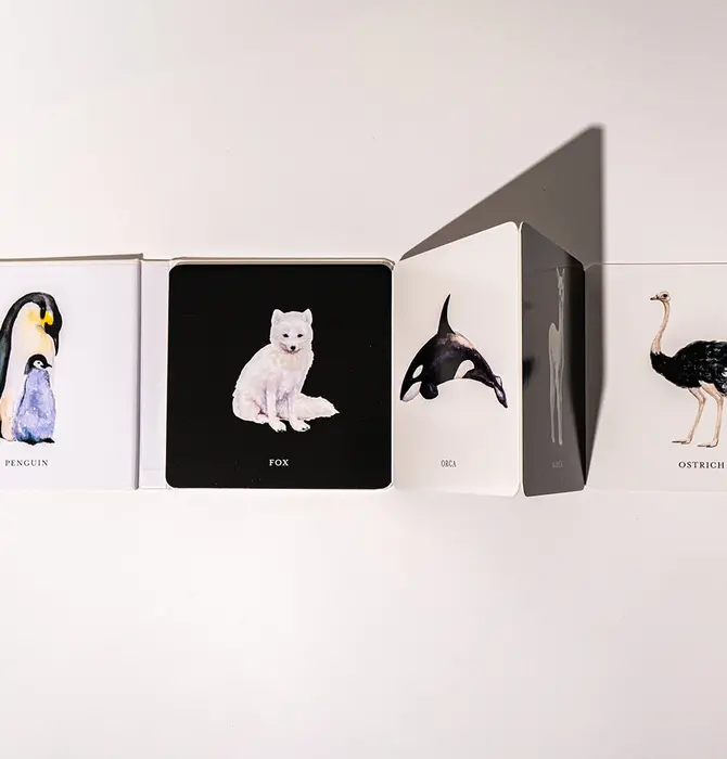 Book | Baby's Black & White Contrast