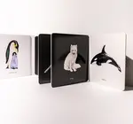 Book | Baby's Black & White Contrast