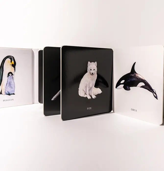 Book | Baby's Black & White Contrast