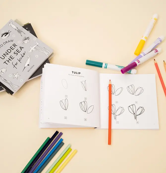 Books | Box Set of 5 | How to Draw So Many Things for Kids