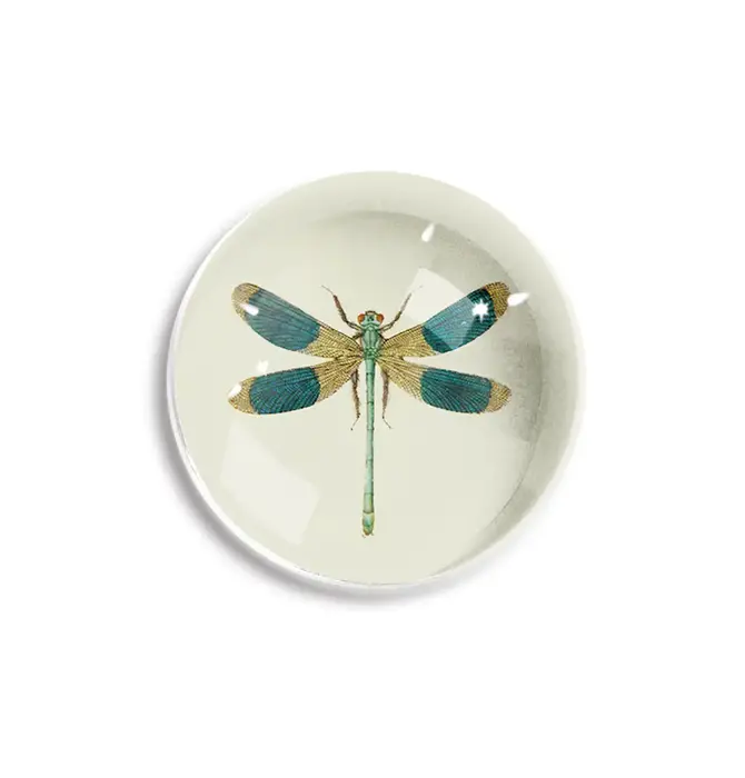 Paperweight | Crystal Dome | Blue Dragonfly