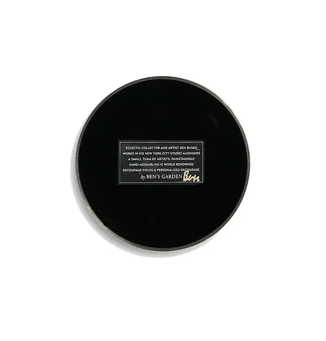 Paperweight | Crystal Dome | Vintage Compass Illustration