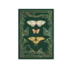 Card | 3D Pop-Up | Flutter Butterflies & Moths