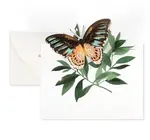 Card | 3D Pop-Up | Butterfly