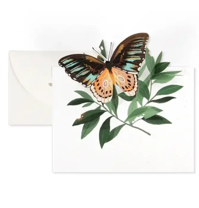 Card | 3D Pop-Up | Butterfly