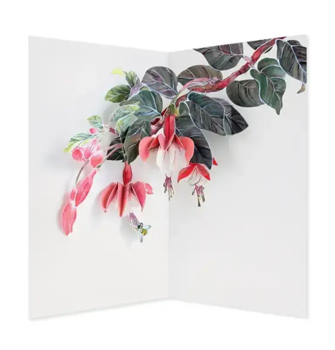 Card | 3D Pop-Up | Fuchsia