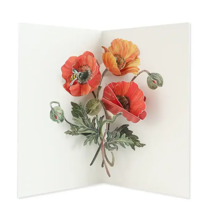 Card | 3D Pop-Up | Poppies