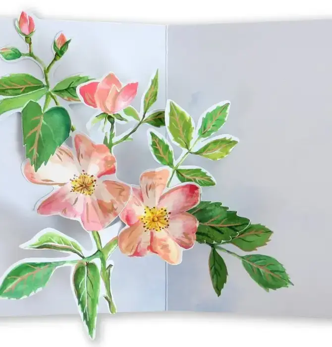 Card | 3D Pop-Up | Blooms Seed Packet