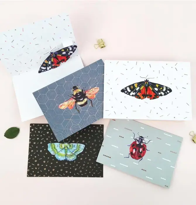 Cards | Box Set | 3D Pop-Up | Insect Wings