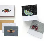 Cards | Box Set | 3D Pop-Up | Insect Wings