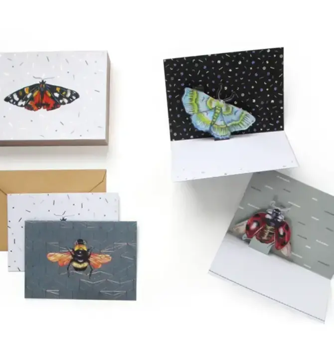 Cards | Box Set | 3D Pop-Up | Insect Wings