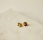 Earrings | Oyster Studs | 24KGP