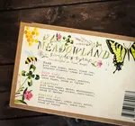 Condiment | Gift Set | Simple Syrup | Daydream Collection