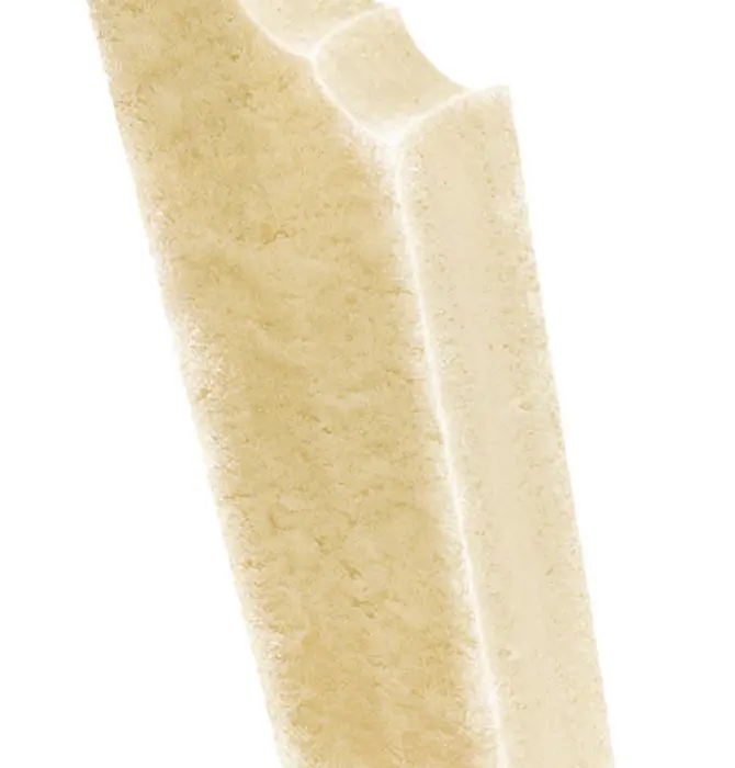 Dog Treat | Ice Cream