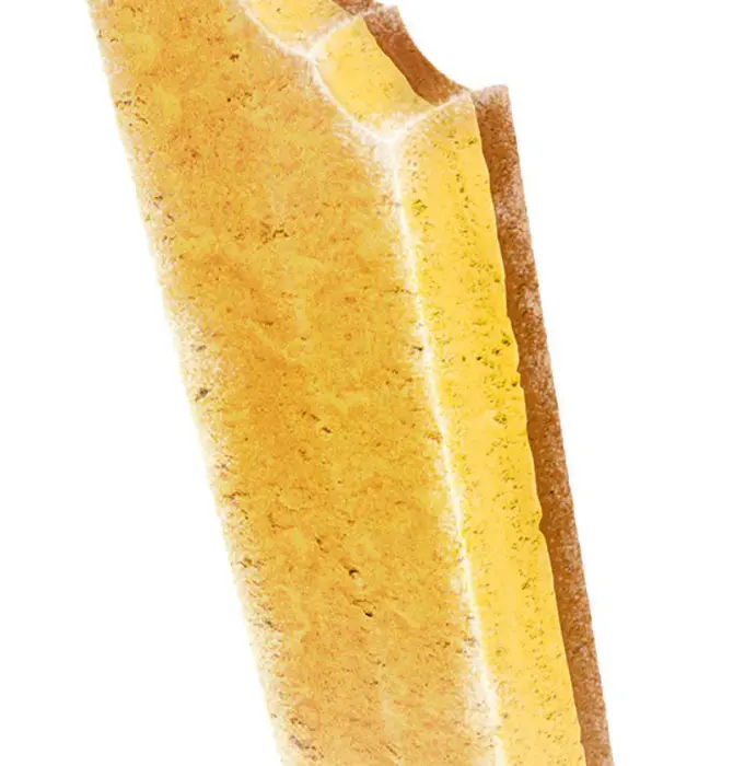 Dog Treat | Ice Cream