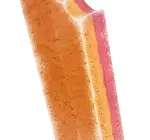 Dog Treat | Ice Cream