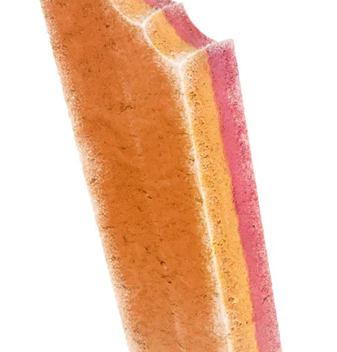 Dog Treat | Ice Cream