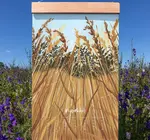 Wall Calendar | XL 2026 | Natural World
