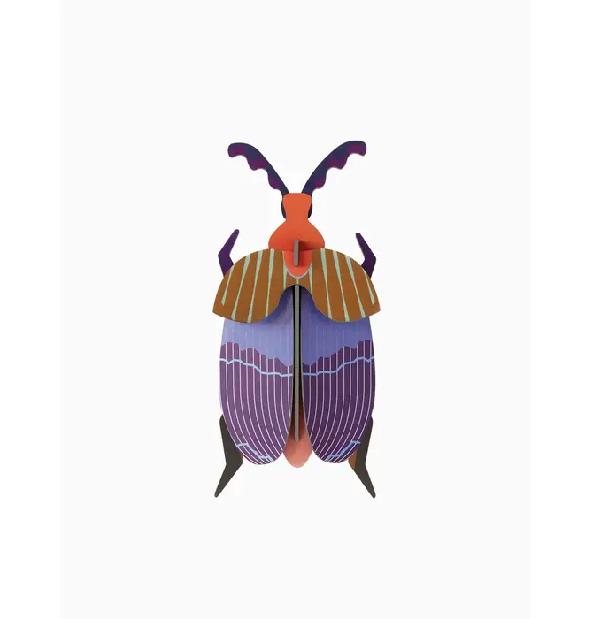3D Insect Puzzle | Small Beetle