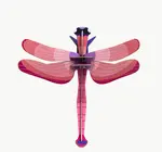 3D Insect Puzzle | Small Dragonfly | Ruby
