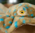 Toy | Animal Plush | Earth Keeperz | Stingray Blue Spotted