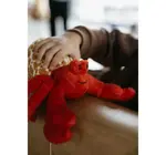 Toy | Animal Plush | Wild Onez | Hermit Crab