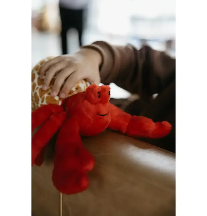Toy | Animal Plush | Wild Onez | Hermit Crab