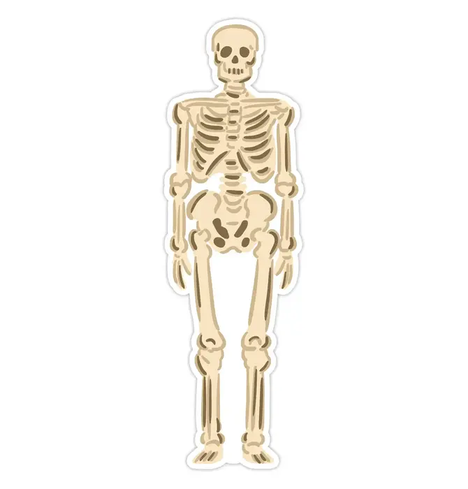 Bookmark | Die-Cut