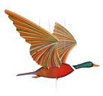 Mobile | Flying | Mallard Duck