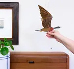 Mobile | Flying | Mallard Duck