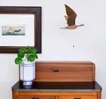 Mobile | Flying | Mallard Duck