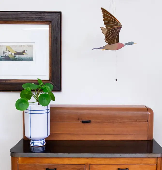 Mobile | Flying | Mallard Duck