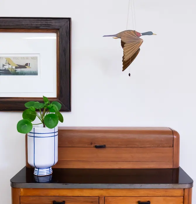 Mobile | Flying | Mallard Duck