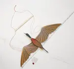 Mobile | Flying | Mallard Duck
