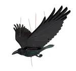 Mobile | Flying | Raven