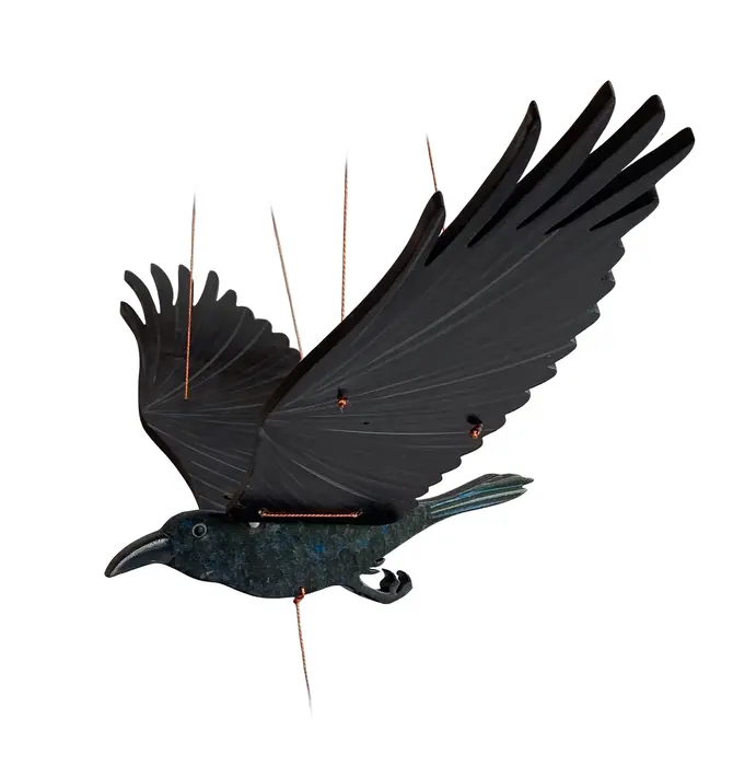 Mobile | Flying | Raven