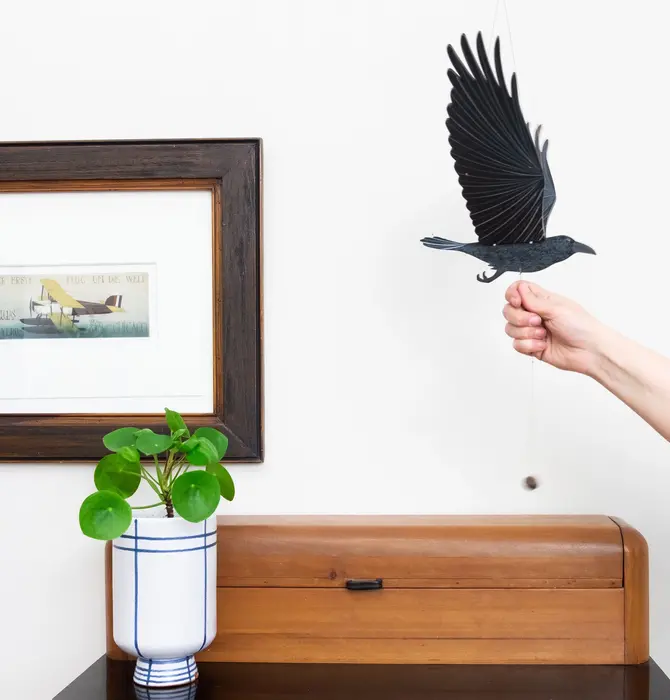 Mobile | Flying | Raven