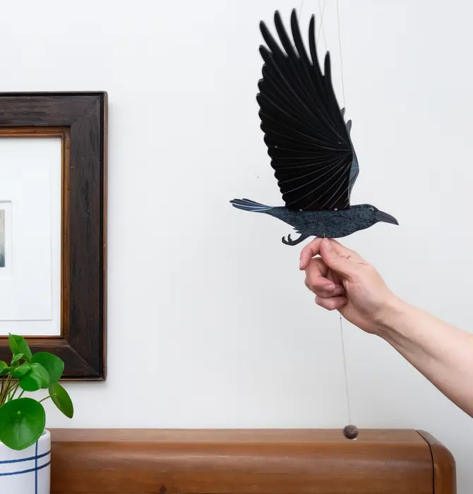 Mobile | Flying | Raven
