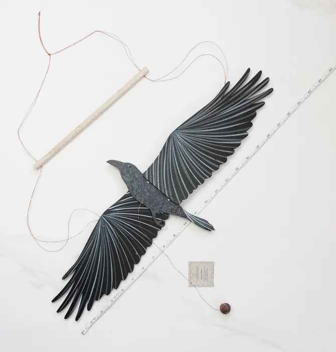 Mobile | Flying | Raven