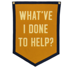 Banner | Camp Flag | What've I Done to Help?