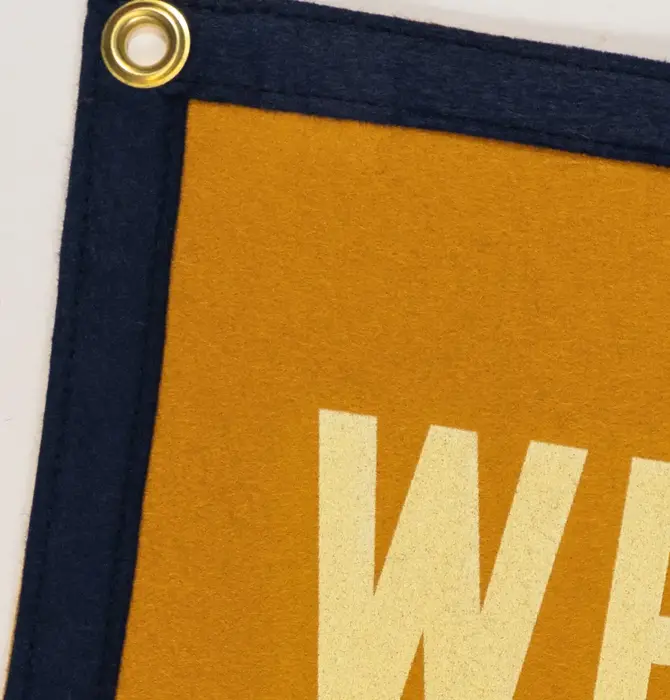 Banner | Camp Flag | What've I Done to Help?