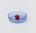Dish | Glass Bubble | Small