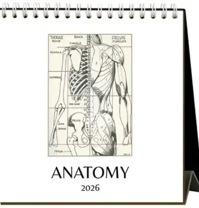 Desk Easel Calendar | 2026 | Found Image