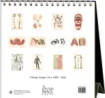 Desk Easel Calendar | 2026 | Found Image